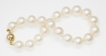 Bracelet de Perles de Culture Eau Douce Blanc AA+ 7.5-8.5mm